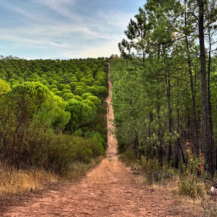 Paraje rural de la Lamparona
